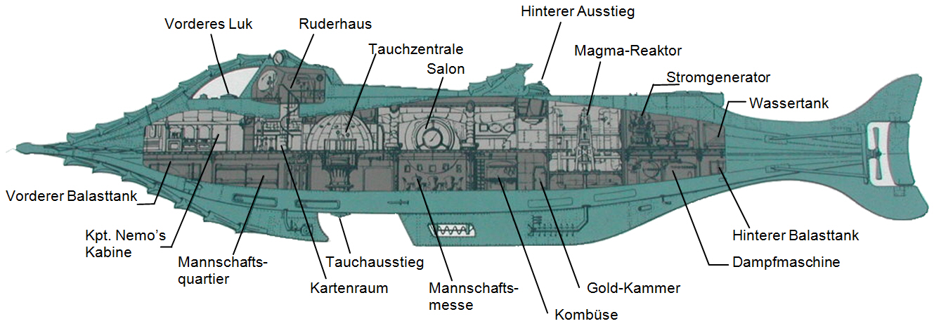 Nautilus schnitt